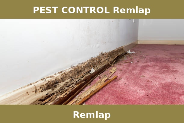 PEST CONTROL Remlap